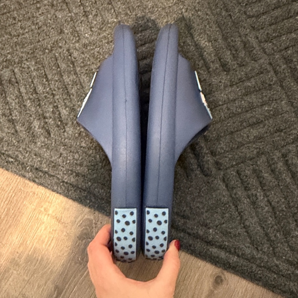 Bluey slides - Picture 3 of 6